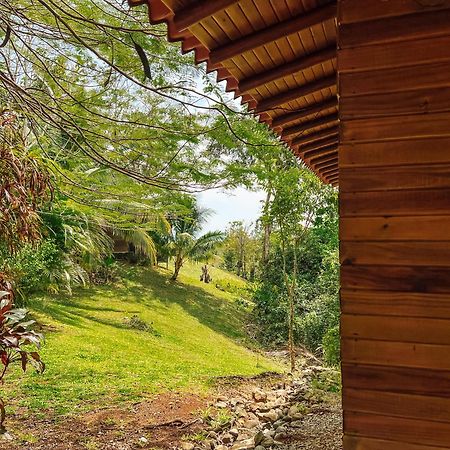 Hotel Soul Fire Casitas Montezuma Zewnętrze zdjęcie