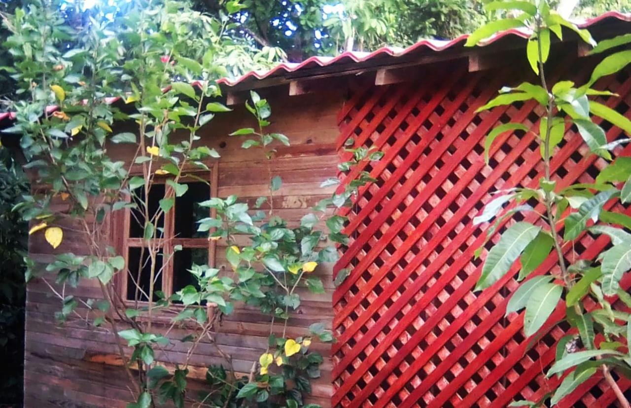 Hotel Soul Fire Casitas Montezuma Zewnętrze zdjęcie